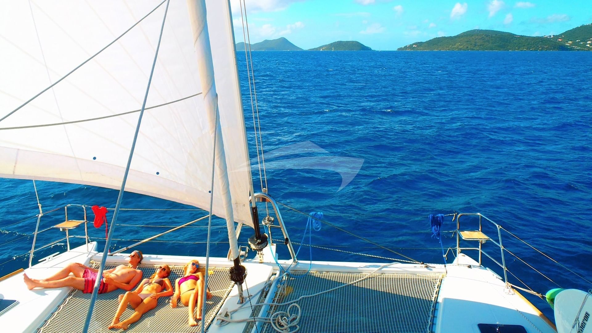 Sunning in the golden hour on the tramps