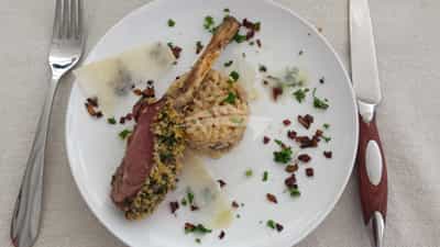 Lamb Lollipop