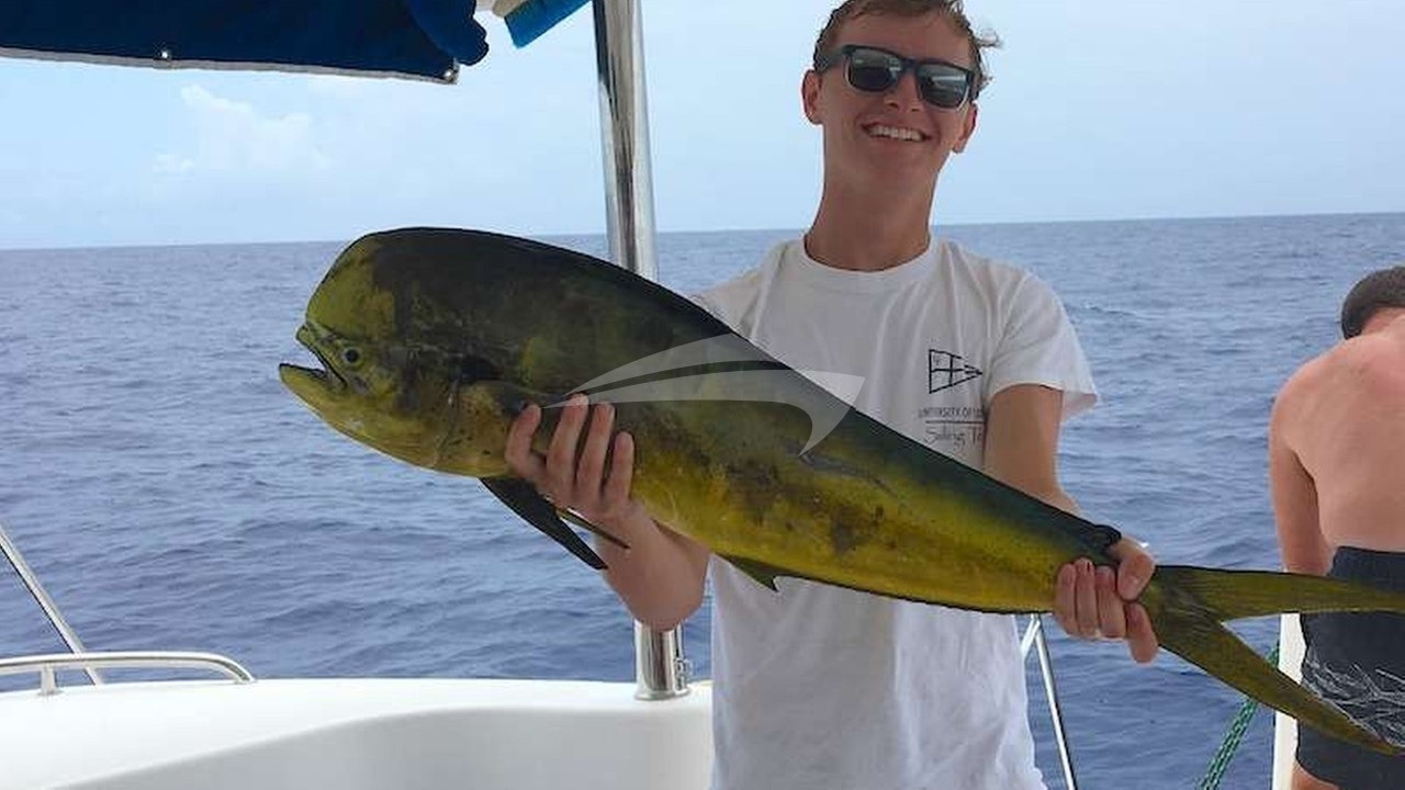 Fresh catch of the day!