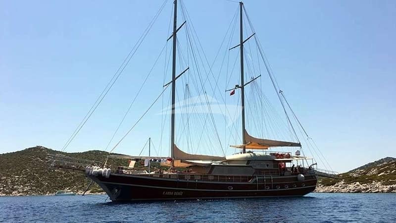 M/S E.ARDA DENIZ, Motor