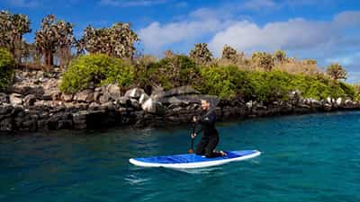PADDLE BOARD