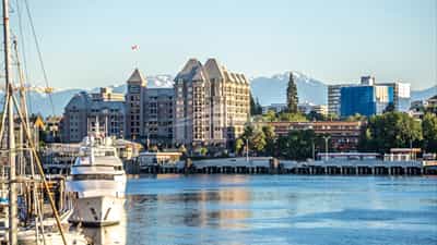 AdobeStock_258460475.jpeg