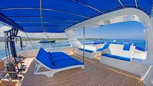 Sun Deck