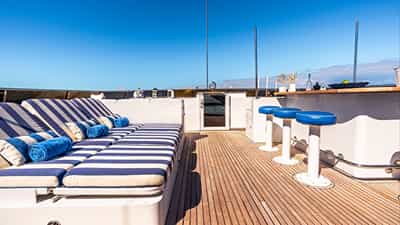 Top deck
