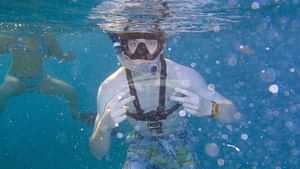 Great Snorkeling!