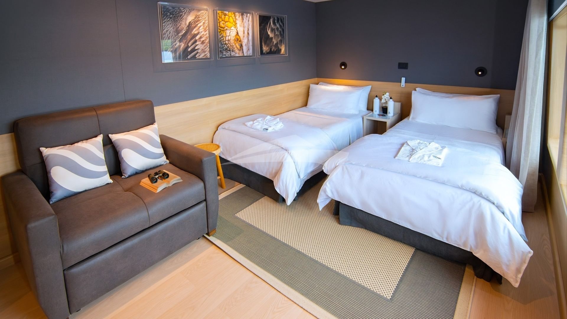 Tribute Premium Suite 1