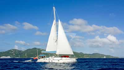 Cruising in clear blue waters