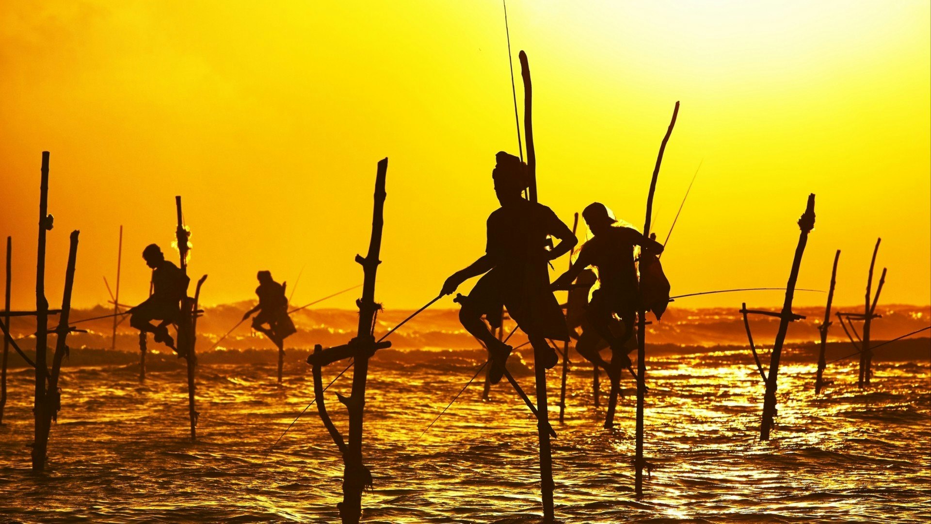 Silhouettes of the traditional fishermen at the sunset near Galle in Sri Lanka