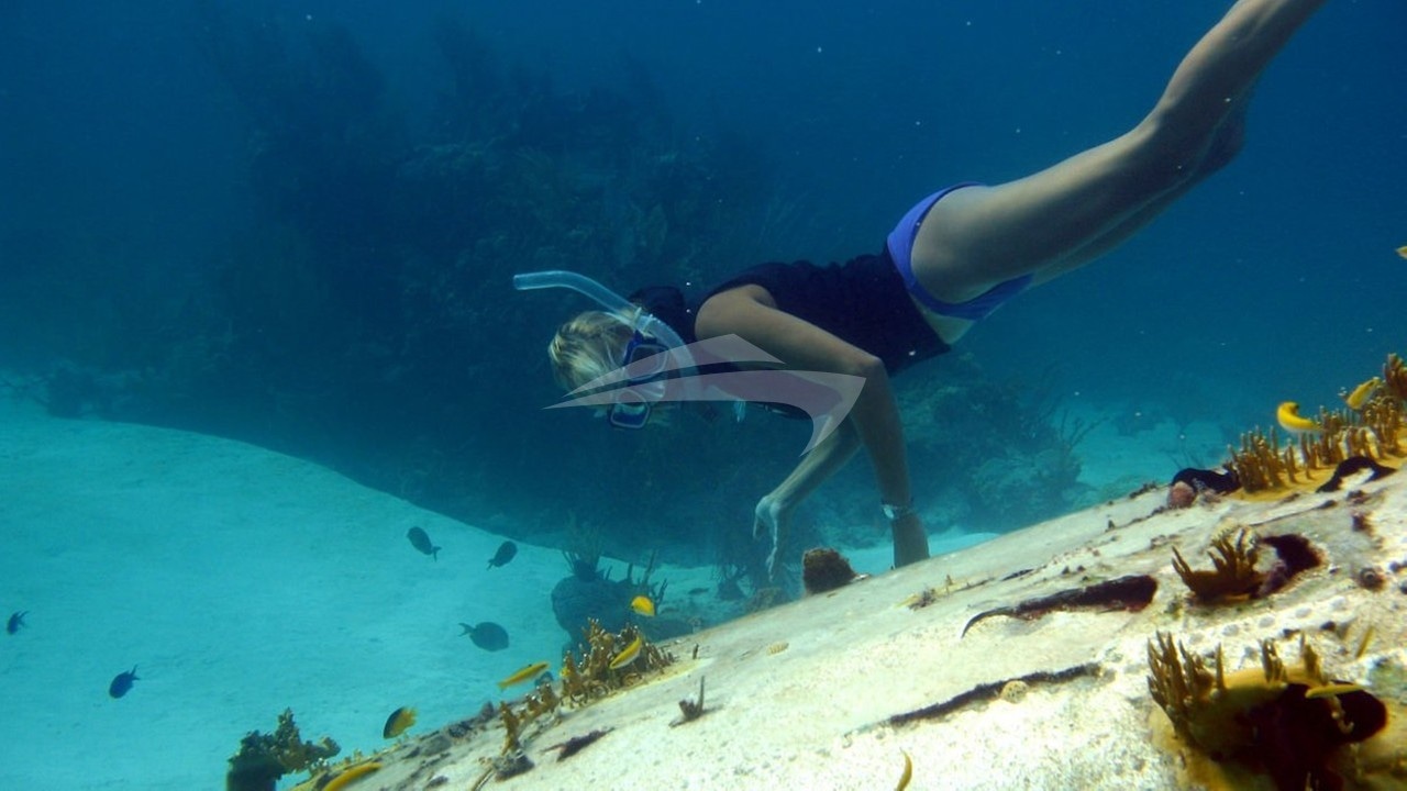 Snorkeling
