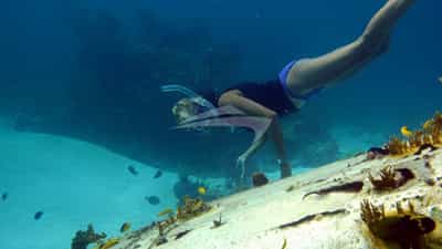 Snorkeling