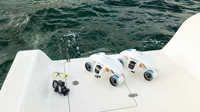 Sea Bobs
