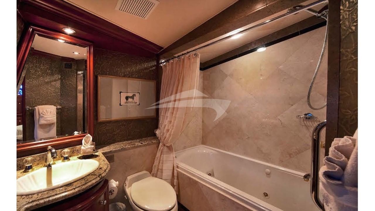 Bronze Bath and jacuzzi tub