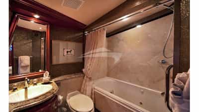 Bronze Bath and jacuzzi tub