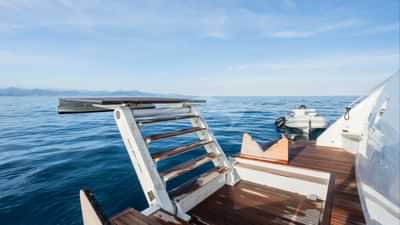 Swim Platform Transformer