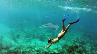 Snorkeling
