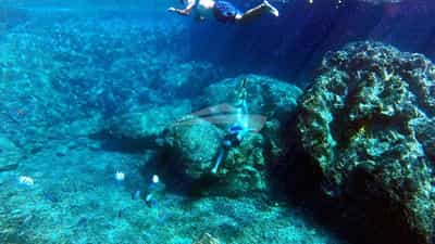 Discover whats under the sea