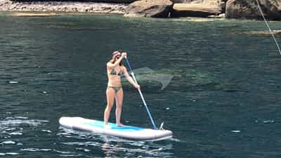 Paddleboarding