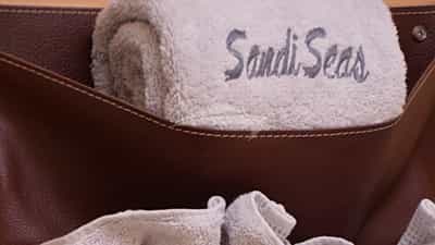 Guest suite details