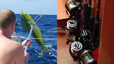 Fish on!!!