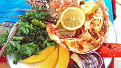 Fresh from the sea