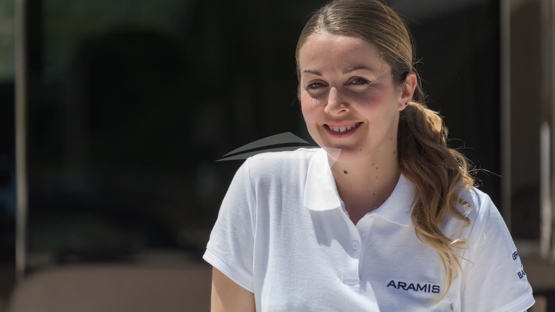 The Stewardess Elena