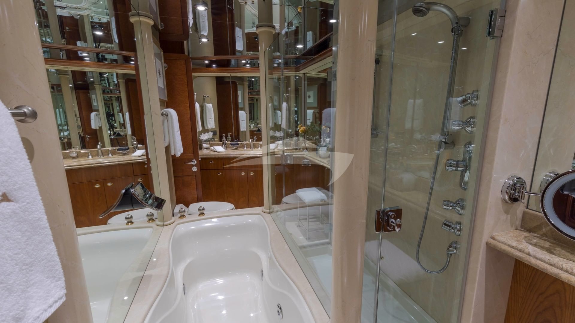 Master Ensuite Jacuzzi Bath and Shower