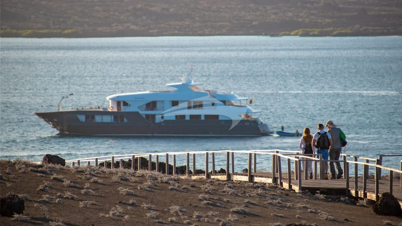 Cruise expedition