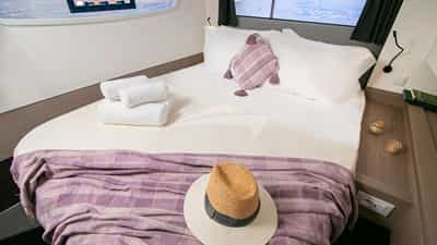 Guest Cabin