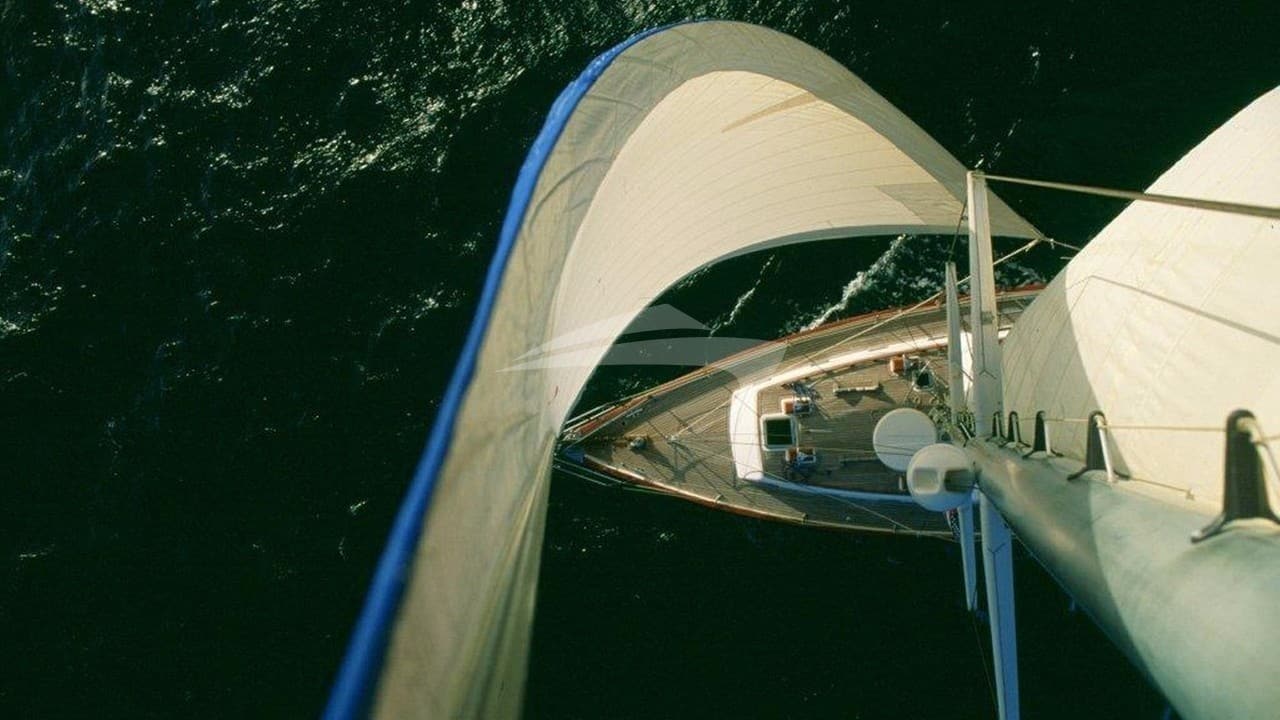 THE DOVE, photo from the yacht portfolio 6