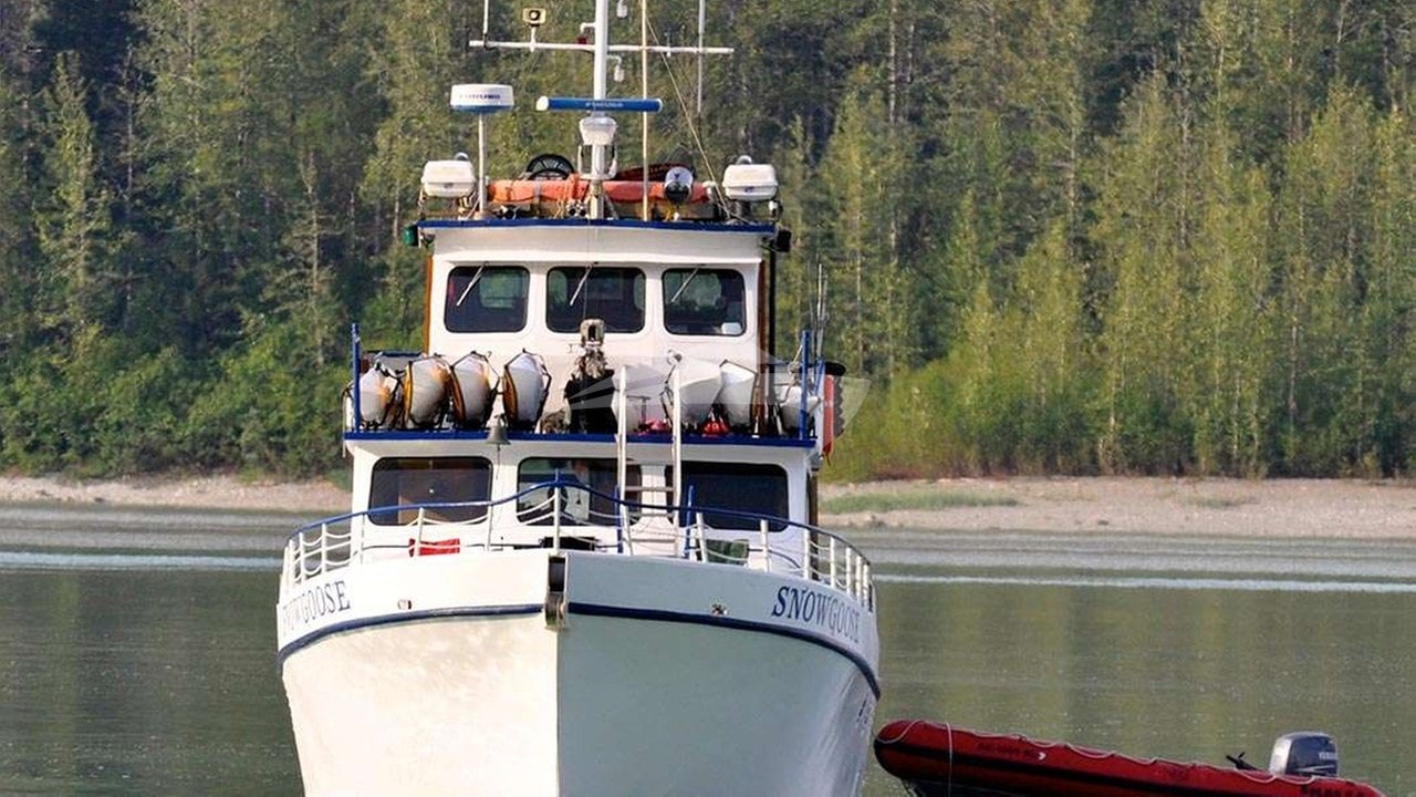 View of Bow