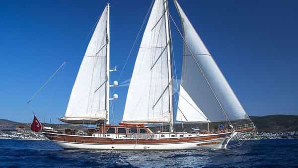 ESTRELLA DE MAR