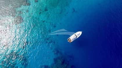 BELUGA 35m motor yacht charter, photo 10