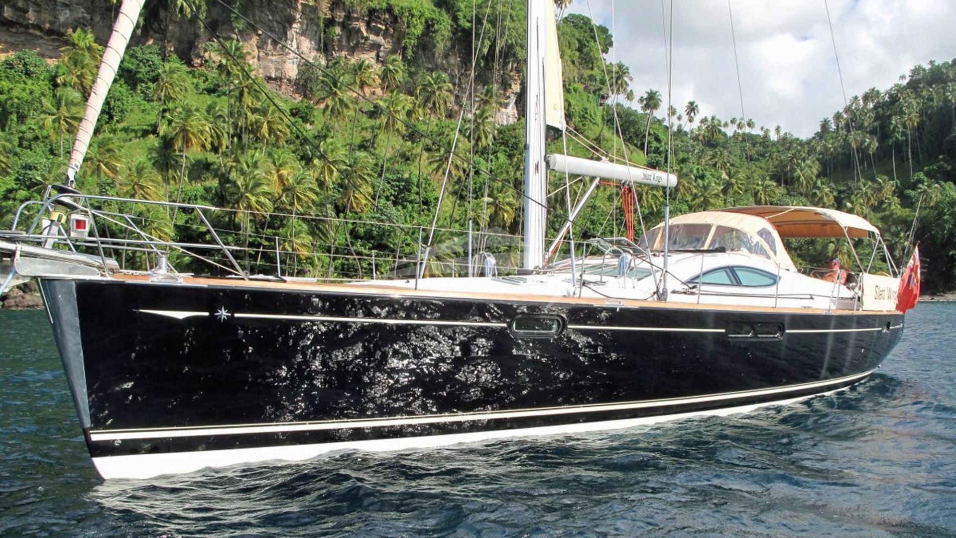 Silent Wings Sleek Lines