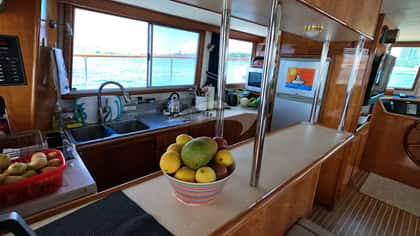 PANDORA 15m motor yacht charter, photo 9