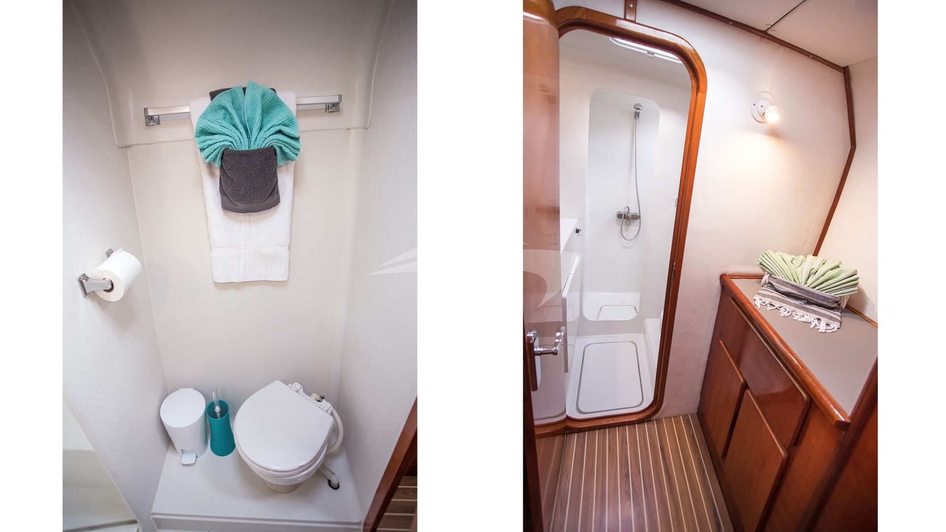 Guest head and shower