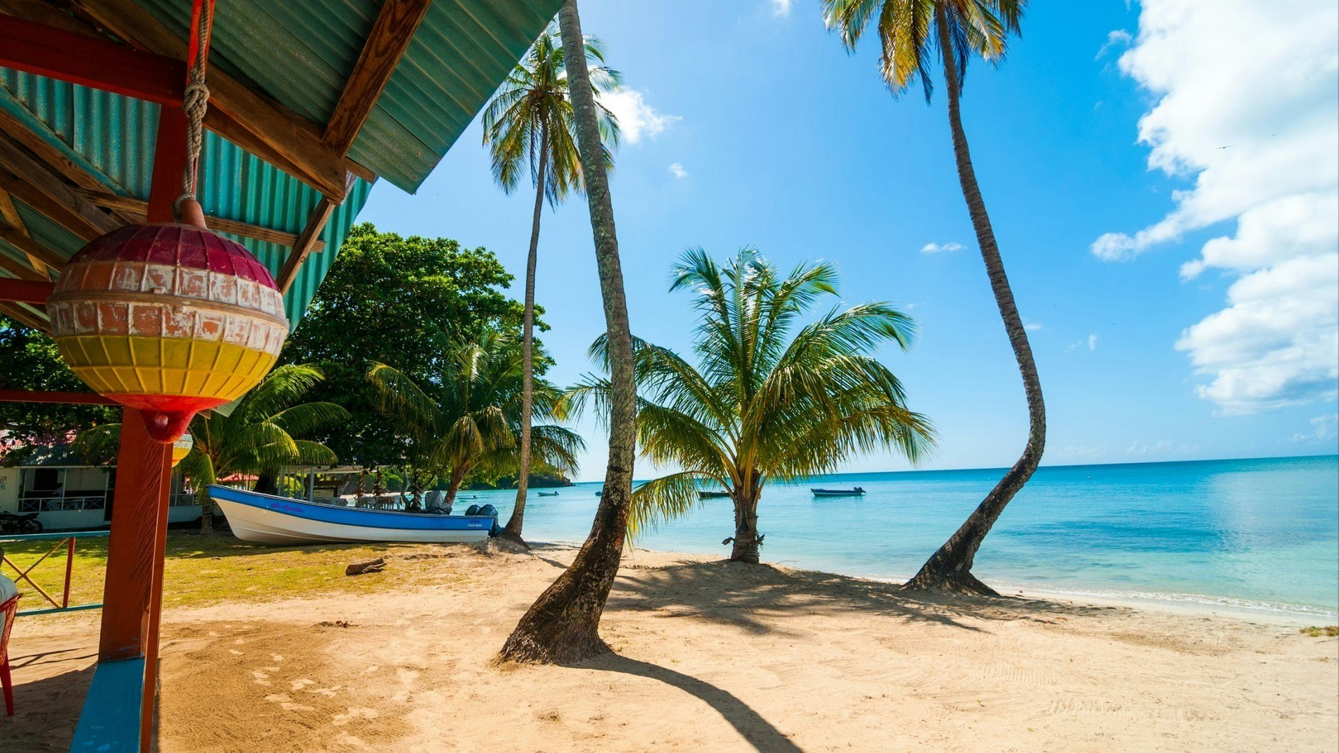 Beach, palm trees, and turquoise water in San Andres y Providencia, Colombia