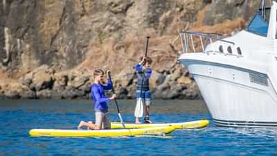 Paddleboards