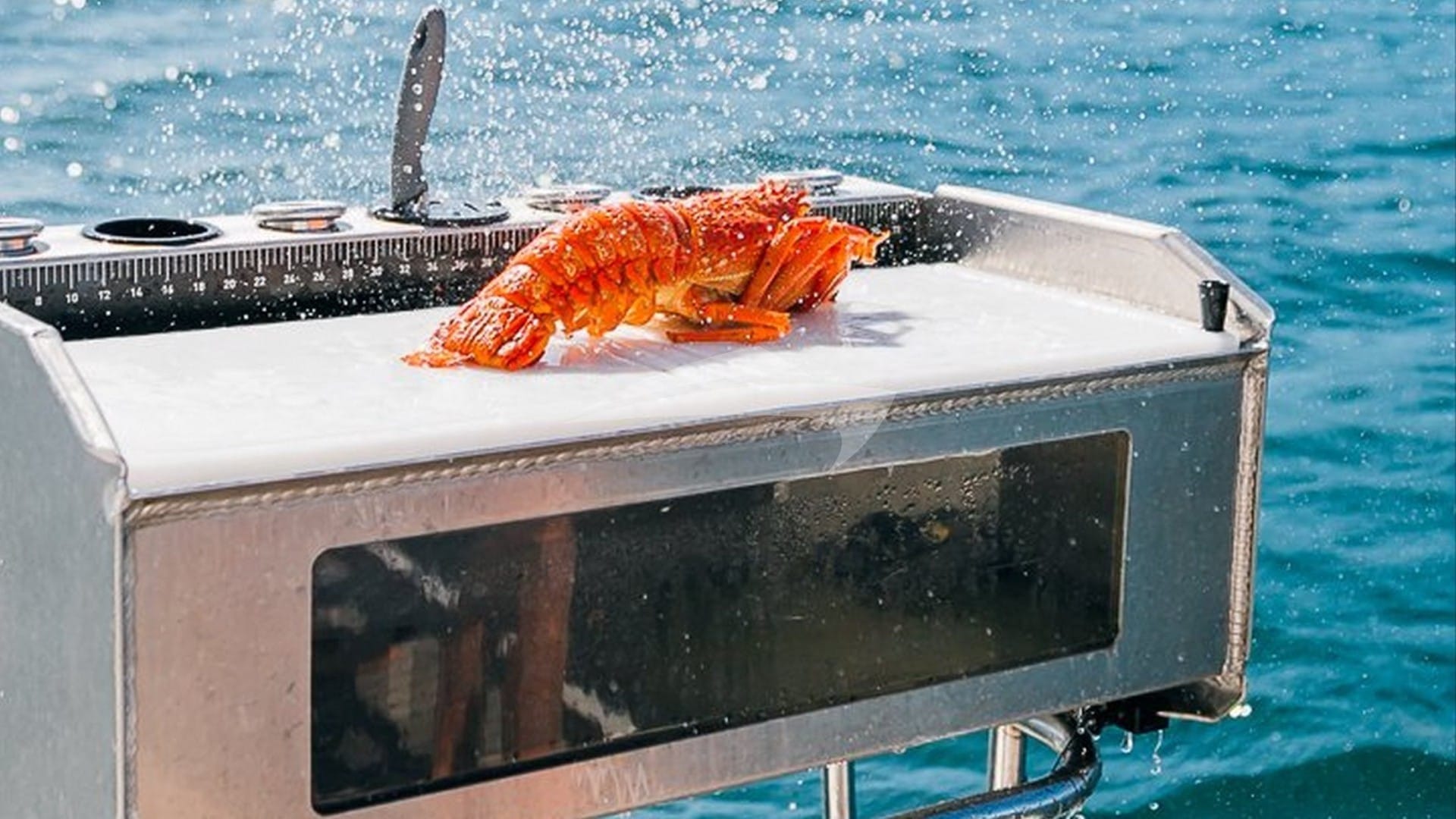 Lobster on BBQ