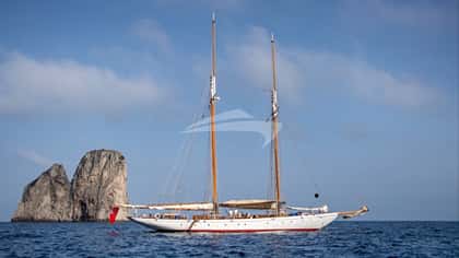 PURITAN 38m sailing yacht charter, photo 11