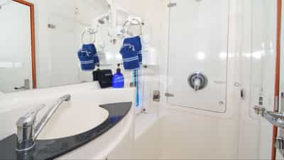 Guest head and shower