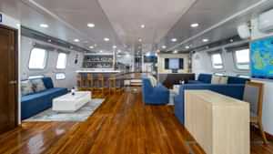 Social area - lounge