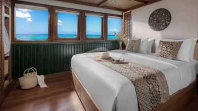Guest Cabin