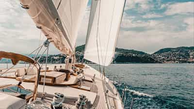 Deck View