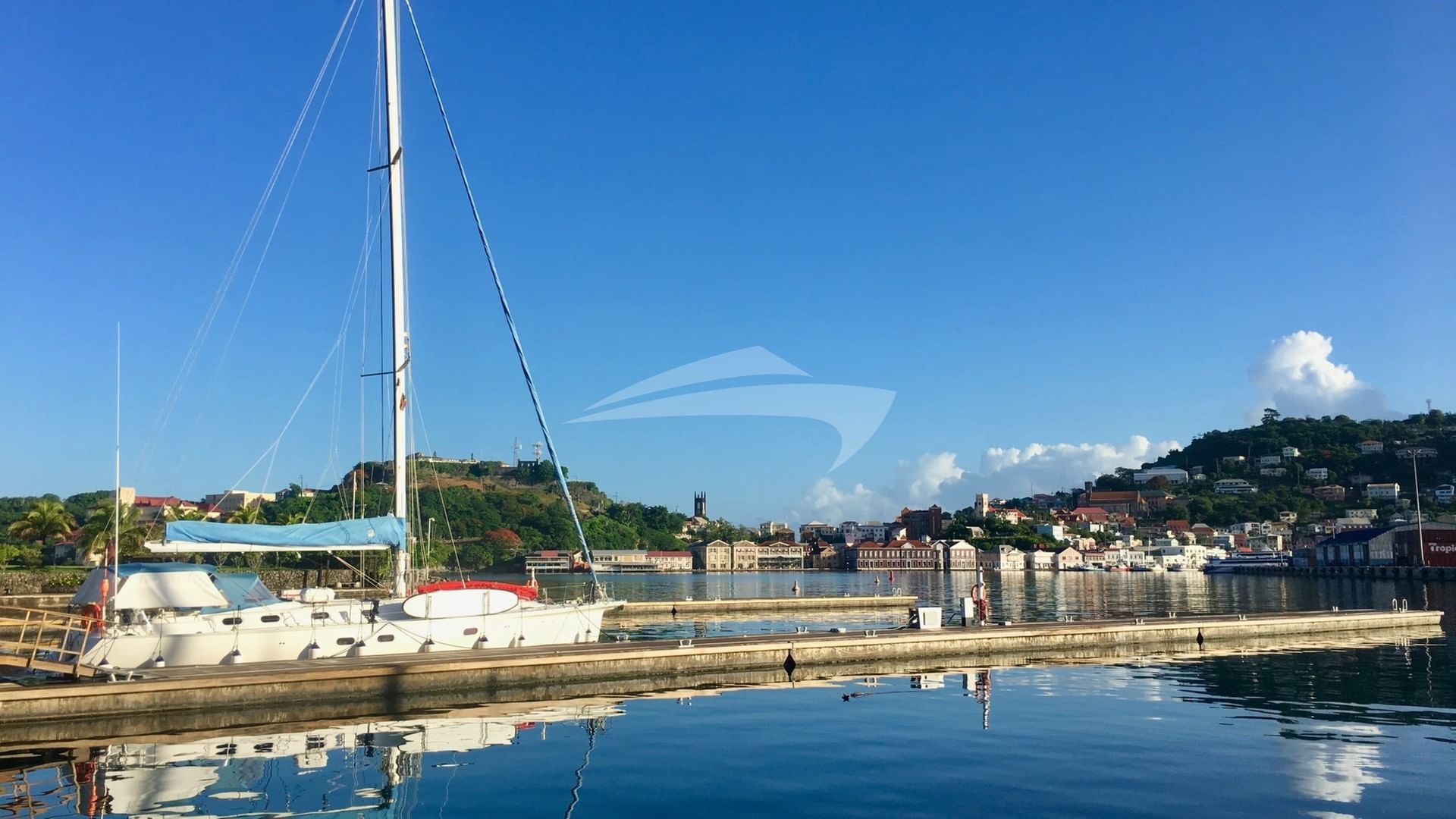 Nemo in the Marina in Grenada