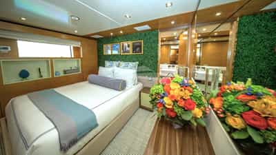 Guest Cabin
