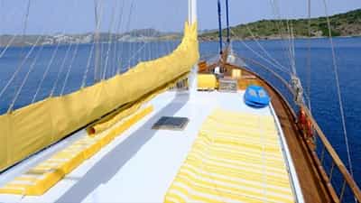 View of Bow