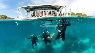 Diving